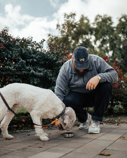 Dog Sniff Hímzett Baseball Sapka